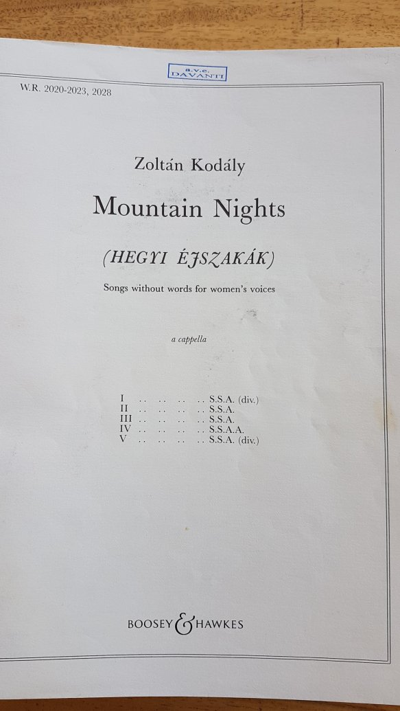 Mountain Nights