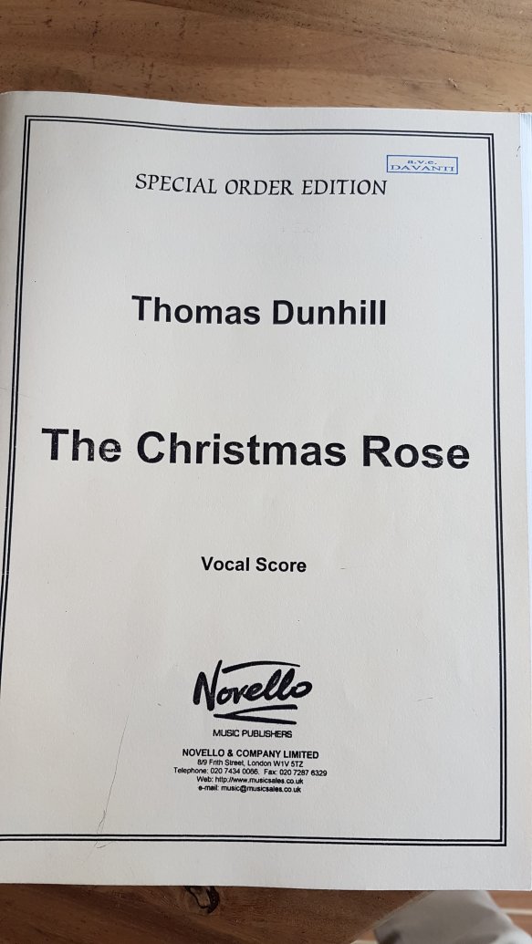 The Christmas Rose